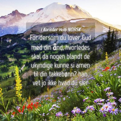 Picture 04 - 1 Korinter 14:16 NORSK - For dersom du lover Gud med din ånd, hvorledes - Bible Verse Picture