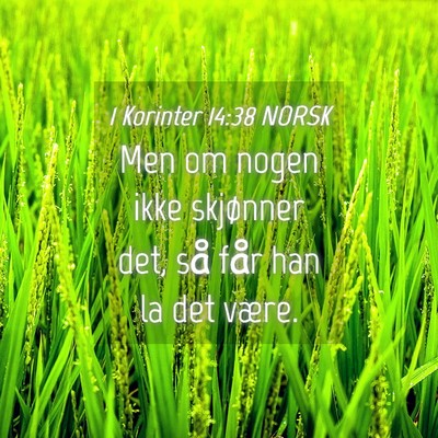 Picture 04 - 1 Korinter 14:38 NORSK - Men om nogen ikke skjønner det, så får han la - Bible Verse Picture