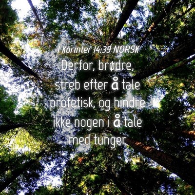 Picture 04 - 1 Korinter 14:39 NORSK - Derfor, brødre, streb efter å tale profetisk, - Bible Verse Picture