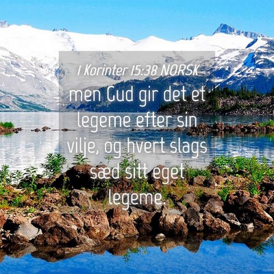 Picture 04 - 1 Korinter 15:38 NORSK - men Gud gir det et legeme efter sin vilje, og - Bible Verse Picture