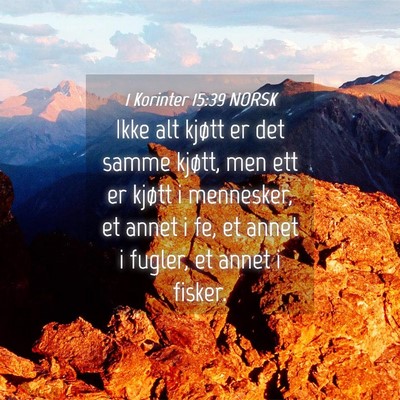 Picture 04 - 1 Korinter 15:39 NORSK - Ikke alt kjøtt er det samme kjøtt, men ett er - Bible Verse Picture