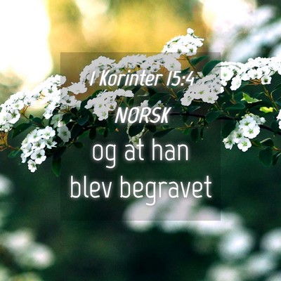 Picture 04 - 1 Korinter 15:4 NORSK - og at han blev - Bible Verse Picture