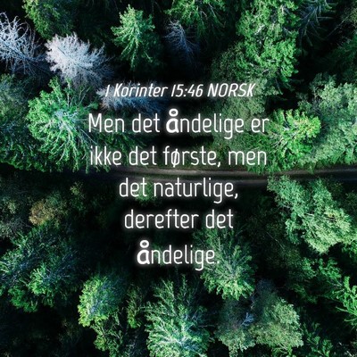 Picture 04 - 1 Korinter 15:46 NORSK - Men det åndelige er ikke det første, men det - Bible Verse Picture