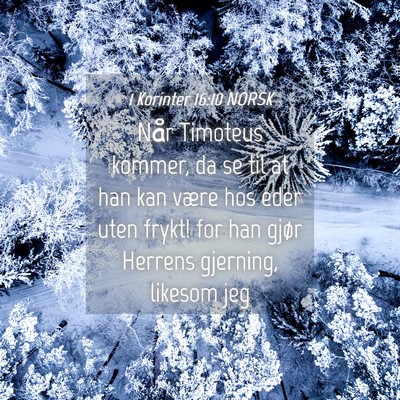 Picture 04 - 1 Korinter 16:10 NORSK - Når Timoteus kommer, da se til at han kan være - Bible Verse Picture