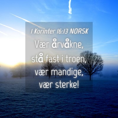 Picture 04 - 1 Korinter 16:13 NORSK - Vær årvåkne, stå fast i troen, vær mandige, - Bible Verse Picture