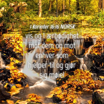 Picture 04 - 1 Korinter 16:16 NORSK - vis og I ærbødighet mot dem og mot enhver som - Bible Verse Picture