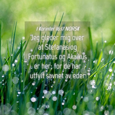 Picture 04 - 1 Korinter 16:17 NORSK - Jeg gleder mig over at Stefanas og Fortunatus og - Bible Verse Picture