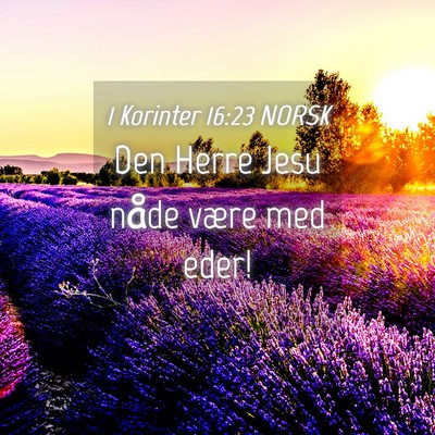 Picture 04 - 1 Korinter 16:23 NORSK - Den Herre Jesu nåde være med - Bible Verse Picture
