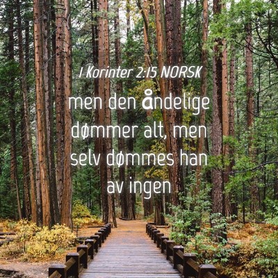 Picture 04 - 1 Korinter 2:15 NORSK - men den åndelige dømmer alt, men selv dømmes - Bible Verse Picture