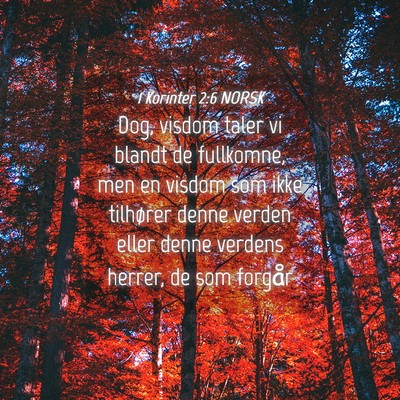 Picture 04 - 1 Korinter 2:6 NORSK - Dog, visdom taler vi blandt de fullkomne, men en - Bible Verse Picture