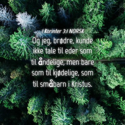 Picture 04 - 1 Korinter 3:1 NORSK - Og jeg, brødre, kunde ikke tale til eder som til - Bible Verse Picture