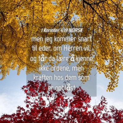 Picture 04 - 1 Korinter 4:19 NORSK - men jeg kommer snart til eder, om Herren vil, og - Bible Verse Picture