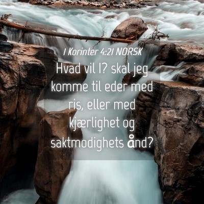 Picture 04 - 1 Korinter 4:21 NORSK - Hvad vil I? skal jeg komme til eder med ris, - Bible Verse Picture