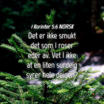 Picture 04 - 1 Korinter 5:6 NORSK - Det er ikke smukt det som I roser eder av. Vet I - Bible Verse Picture
