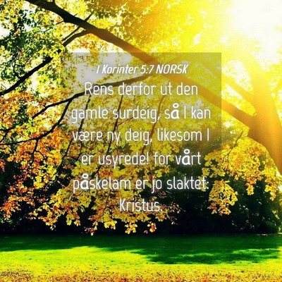 Picture 04 - 1 Korinter 5:7 NORSK - Rens derfor ut den gamle surdeig, så I kan være - Bible Verse Picture