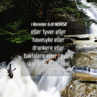 Picture 04 - 1 Korinter 6:10 NORSK - eller tyver eller havesyke eller drankere eller - Bible Verse Picture