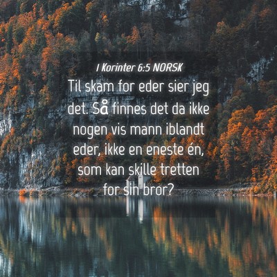 Picture 04 - 1 Korinter 6:5 NORSK - Til skam for eder sier jeg det. Så finnes det da - Bible Verse Picture