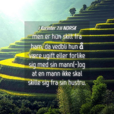 Picture 04 - 1 Korinter 7:11 NORSK - men er hun skilt fra ham, da vedbli hun å være - Bible Verse Picture
