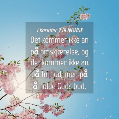 Picture 04 - 1 Korinter 7:19 NORSK - Det kommer ikke an på omskjærelse, og det - Bible Verse Picture