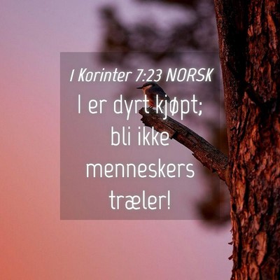 Picture 04 - 1 Korinter 7:23 NORSK - I er dyrt kjøpt; bli ikke menneskers - Bible Verse Picture