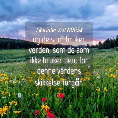 Picture 04 - 1 Korinter 7:31 NORSK - og de som bruker verden, som de som ikke bruker - Bible Verse Picture