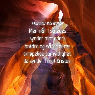 Picture 04 - 1 Korinter 8:12 NORSK - Men når I således synder mot eders brødre og - Bible Verse Picture