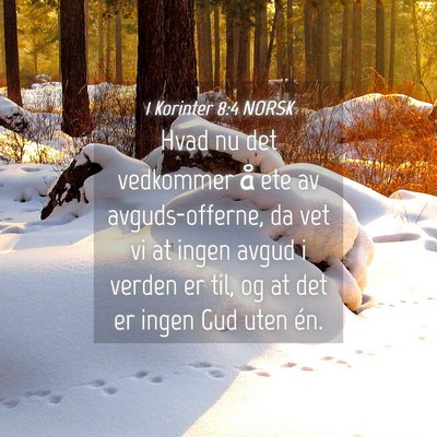 Picture 04 - 1 Korinter 8:4 NORSK - Hvad nu det vedkommer å ete av avguds-offerne, - Bible Verse Picture