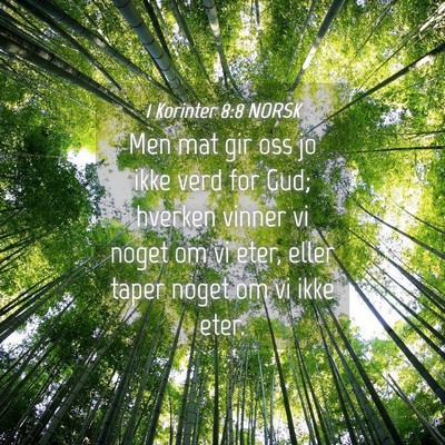 Picture 04 - 1 Korinter 8:8 NORSK - Men mat gir oss jo ikke verd for Gud; hverken - Bible Verse Picture
