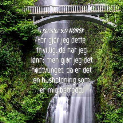 Picture 04 - 1 Korinter 9:17 NORSK - For gjør jeg dette frivillig, da har jeg lønn; - Bible Verse Picture