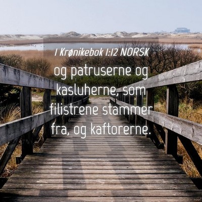 Picture 04 - 1 Krønikebok 1:12 NORSK - og patruserne og kasluherne, som filistrene - Bible Verse Picture