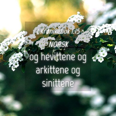 Picture 04 - 1 Krønikebok 1:15 NORSK - og hevittene og arkittene og - Bible Verse Picture