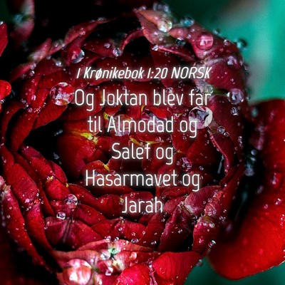 Picture 04 - 1 Krønikebok 1:20 NORSK - Og Joktan blev far til Almodad og Salef og - Bible Verse Picture