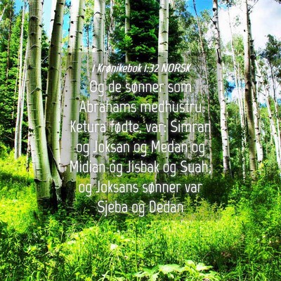 Picture 04 - 1 Krønikebok 1:32 NORSK - Og de sønner som Abrahams medhustru Ketura - Bible Verse Picture