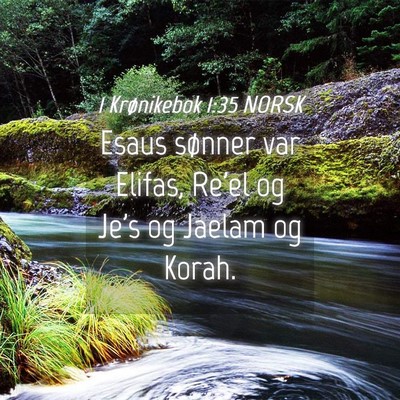Picture 04 - 1 Krønikebok 1:35 NORSK - Esaus sønner var Elifas, Re'el og Je's og Jaelam - Bible Verse Picture