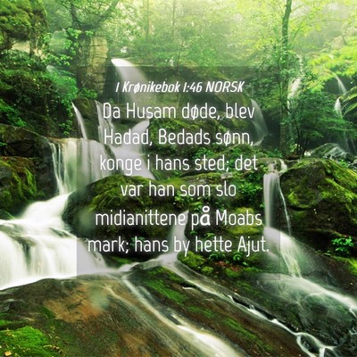 Picture 04 - 1 Krønikebok 1:46 NORSK - Da Husam døde, blev Hadad, Bedads sønn, konge i - Bible Verse Picture