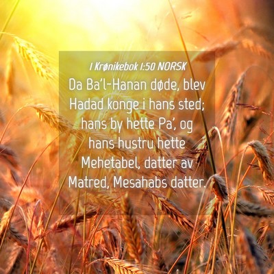Picture 04 - 1 Krønikebok 1:50 NORSK - Da Ba'l-Hanan døde, blev Hadad konge i hans - Bible Verse Picture