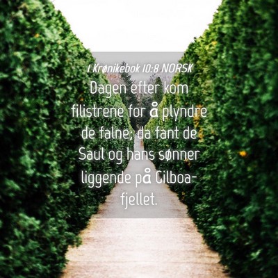 Picture 04 - 1 Krønikebok 10:8 NORSK - Dagen efter kom filistrene for å plyndre de - Bible Verse Picture