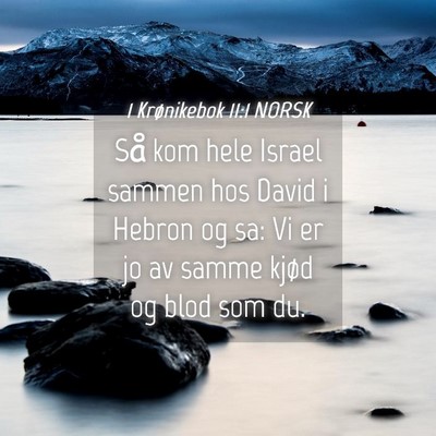 Picture 04 - 1 Krønikebok 11:1 NORSK - Så kom hele Israel sammen hos David i Hebron og - Bible Verse Picture