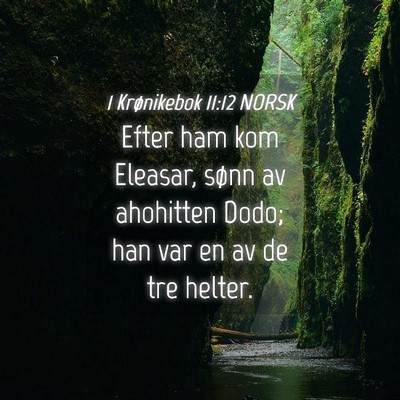 Picture 04 - 1 Krønikebok 11:12 NORSK - Efter ham kom Eleasar, sønn av ahohitten Dodo; - Bible Verse Picture
