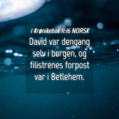 Picture 04 - 1 Krønikebok 11:16 NORSK - David var dengang selv i borgen, og filistrenes - Bible Verse Picture