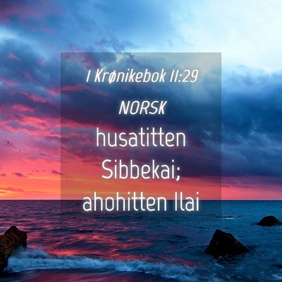 Picture 04 - 1 Krønikebok 11:29 NORSK - husatitten Sibbekai; ahohitten - Bible Verse Picture