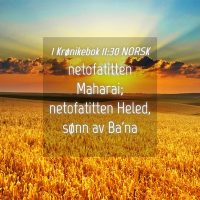 Picture 04 - 1 Krønikebok 11:30 NORSK - netofatitten Maharai; netofatitten Heled, sønn - Bible Verse Picture