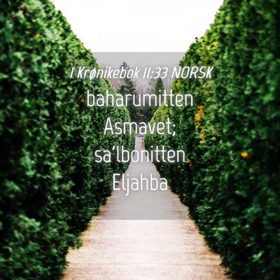 Picture 04 - 1 Krønikebok 11:33 NORSK - baharumitten Asmavet; sa'lbonitten - Bible Verse Picture