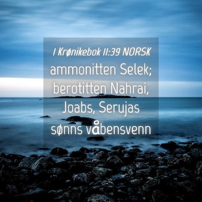 Picture 04 - 1 Krønikebok 11:39 NORSK - ammonitten Selek; berotitten Nahrai, Joabs, - Bible Verse Picture