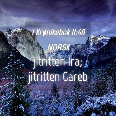 Picture 04 - 1 Krønikebok 11:40 NORSK - jitritten Ira; jitritten - Bible Verse Picture