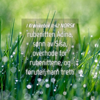 Picture 04 - 1 Krønikebok 11:42 NORSK - rubenitten Adina, sønn av Sisa, overhode for - Bible Verse Picture