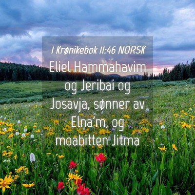 Picture 04 - 1 Krønikebok 11:46 NORSK - Eliel Hammahavim og Jeribai og Josavja, sønner - Bible Verse Picture