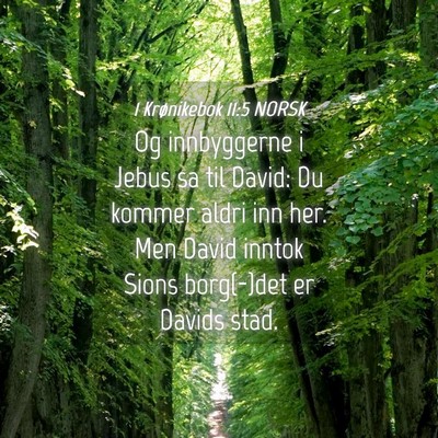 Picture 04 - 1 Krønikebok 11:5 NORSK - Og innbyggerne i Jebus sa til David: Du kommer - Bible Verse Picture