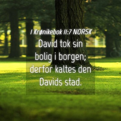 Picture 04 - 1 Krønikebok 11:7 NORSK - David tok sin bolig i borgen; derfor kaltes den - Bible Verse Picture