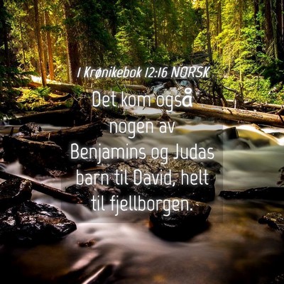 Picture 04 - 1 Krønikebok 12:16 NORSK - Det kom også nogen av Benjamins og Judas barn - Bible Verse Picture